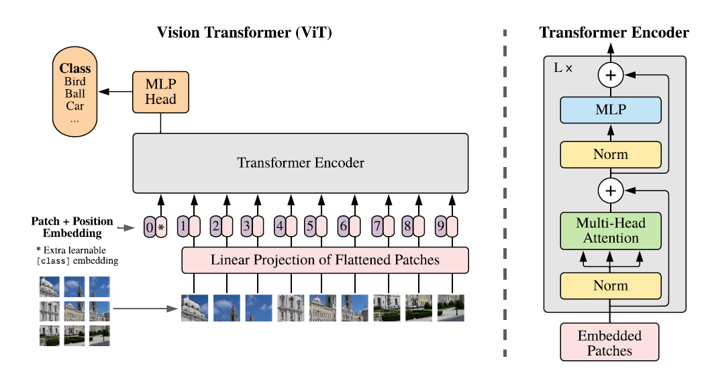 图6:Vision Transform结构